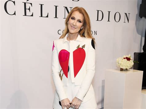 celine bag v|celine dion handbags website.